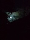 WP_000506