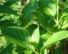 ��DSC04314