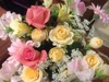 写真20130421