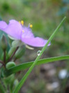 ��DSC06946
