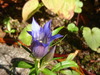 DSC01036