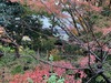 IMG_1782