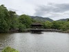 IMG_2440