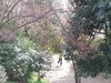 WP_000012