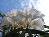 DSC02081