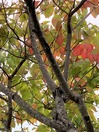 IMG_4853 (2)