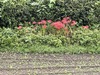 IMG_6197