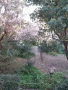 WP_000473