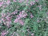 WP_001016