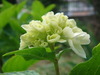 ��DSC05261