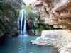 En-gedi