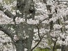 IMG_5758