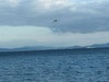 IMG_6287