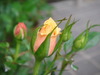 ��DSC03516