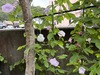 20260916_064355791_iOS (��)