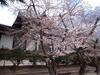 WP_000490