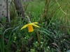 ����20100308b