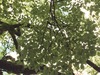 IMG_1871