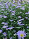 20160502