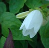 DSC04368