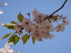 DSC01500