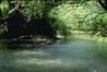 JordanRiver