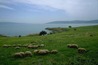 GalileePasture