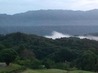 WP_000916