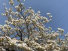 IMG_4024