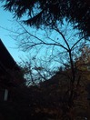 WP_001146
