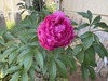20260515_024530150_iOS