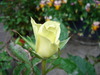 DSC01997