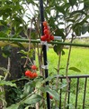 IMG_6820 (2)