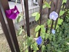 IMG_0934(1)