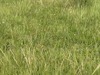 IMG_0820(1)