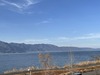 IMG_5483