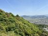 IMG_7843