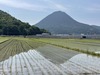 IMG_6634