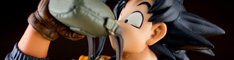 tenkaichi3_gokou_banner