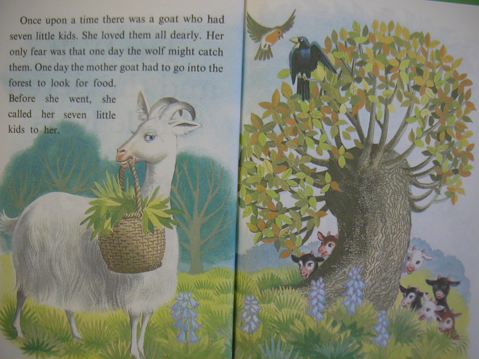 おおかみと7ひきの子やぎ 絵本紹介 児童英語 図書出版社 社長のこだわりブログ