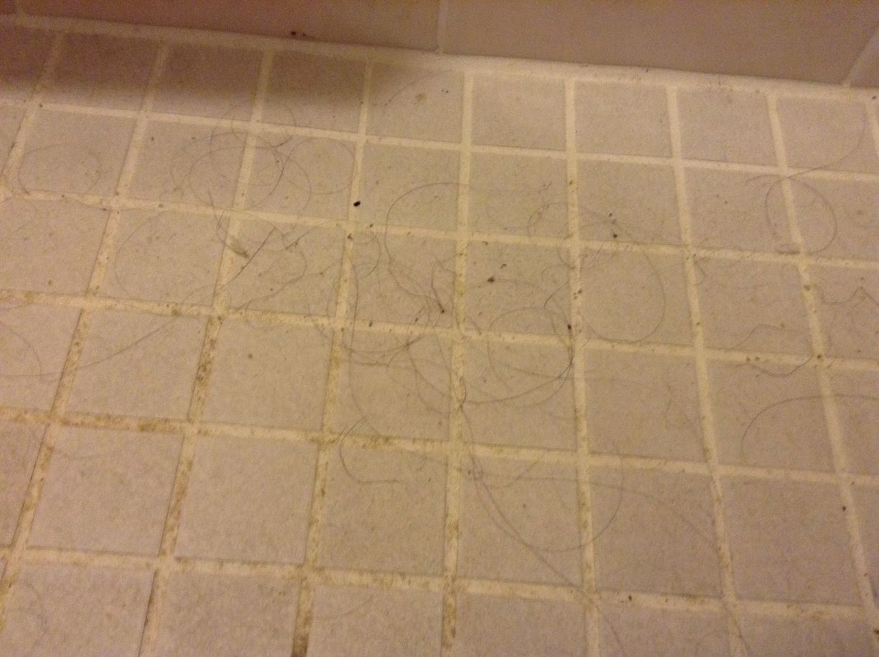 とりあえず床の髪の毛 トイレそうじかんさつにっき とりあえず床の髪の毛 トイレそうじかんさつにっき