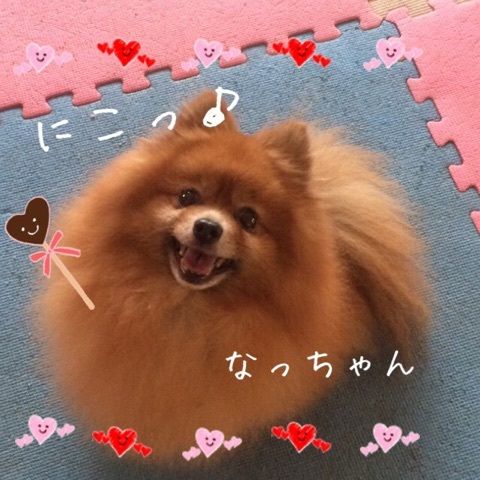 なっちゃん(o^―^o)ニコ