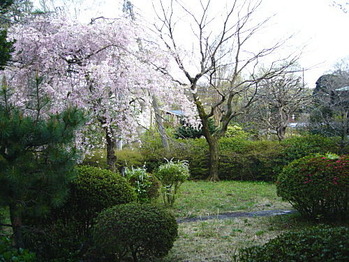 fivepalace08