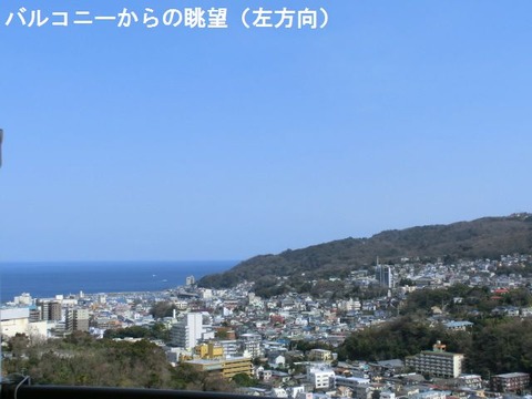 ｸﾘｵｲﾄｳ5252319－5
