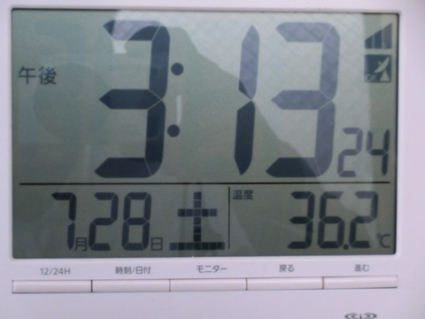 CIMG1169