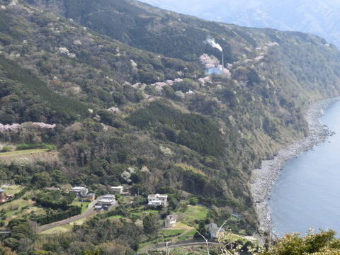 CIMG4556