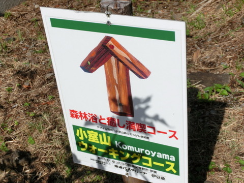 CIMG5419