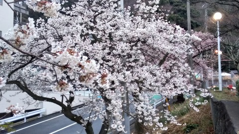 P_20210226_172802_vHDR_On