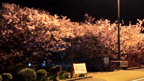 P_20210221_201122_vHDR_On