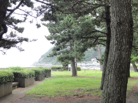 rowaji-ruatagawa16